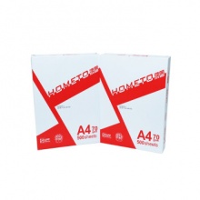 金光 鸿图 复印纸 A4 70g 500张/包 5包/箱 单包价格（5箱起送）