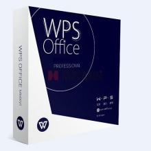 金山 WPS Office 2019 专业增强版 5套起订