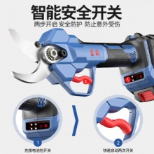 东成 充电式 DCYD35（B型） 20V两电2.0Ah.gxy