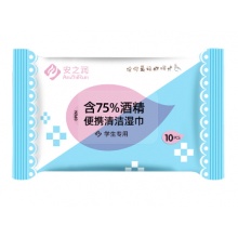 75%酒精湿巾纸巾  学生专用消毒巾10片/1包  （一箱120包）.wy
