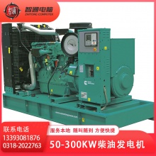 衡水本地发电机租赁50-300kw